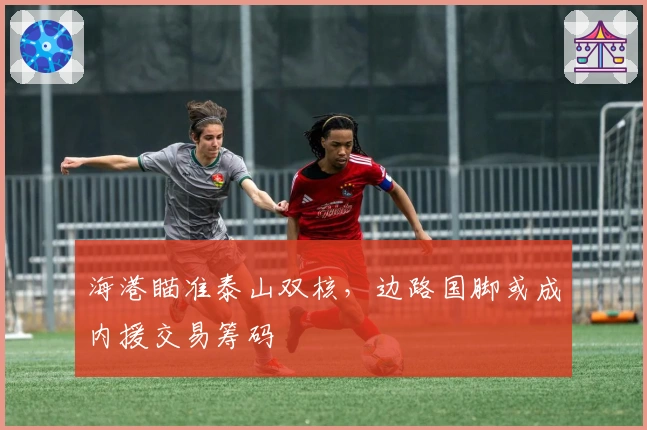 海港瞄准泰山双核,边路国脚或成内援交易筹码